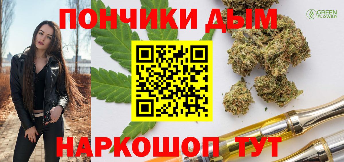 Конопля планчик Славгород